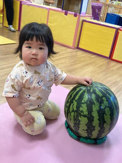 20250711_すいかわり（おおいまち）3.jpg