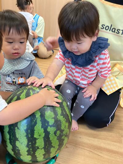20250711_すいかわり（おおいまち）4.jpg