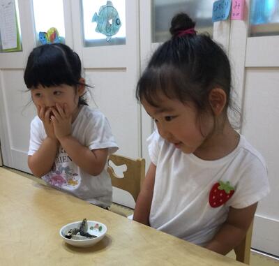 2025 8 21ソラスト高津保育園だしのお話①.JPG