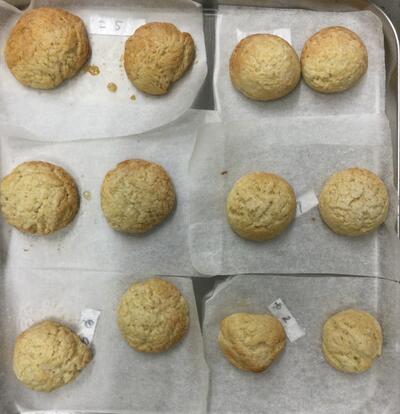 2025 9 18ソラスト高津保育園パン作り⑫.JPG