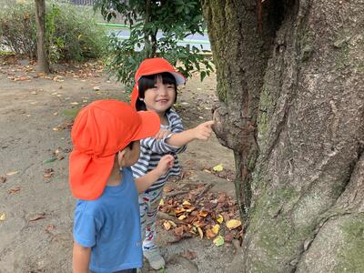 中村橋保育園'25年10月こころ　戸外活動 (4).jpg