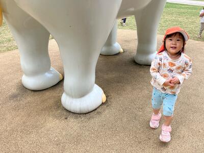 中村橋保育園'25年10月こころ　戸外活動 (5).jpg