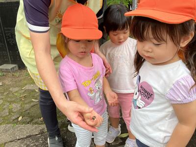 202511浅草　こころ (2).jpg