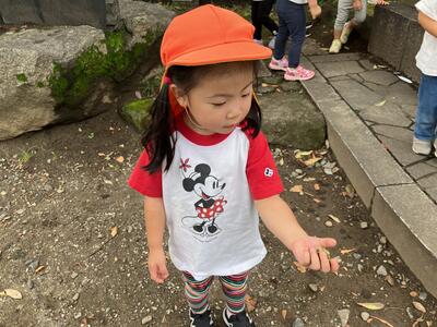 202511浅草　こころ (3).jpg