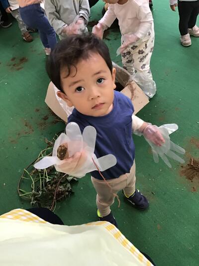 中村橋保育園'25年12月さつまいも堀り体験 (3).jpg