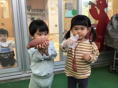 中村橋保育園'25年12月さつまいも堀り体験 (4).jpg