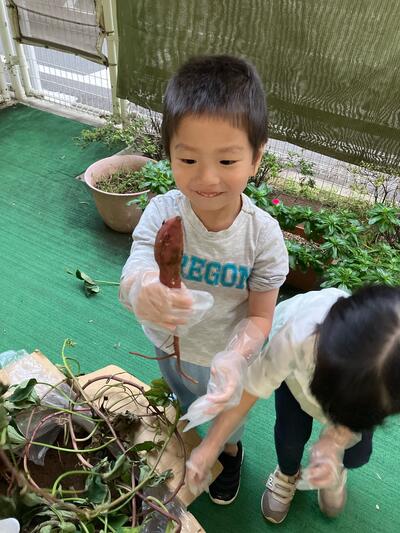 中村橋保育園'25年12月さつまいも堀り体験 (5).jpg