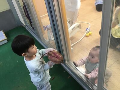 中村橋保育園'25年12月さつまいも堀り体験 (6).jpg