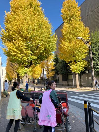 中村橋保育園'25年12月ひかり　戸外活動 (11).jpg