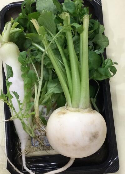 2026 1 11ソラスト高津保育園　七草①.JPG