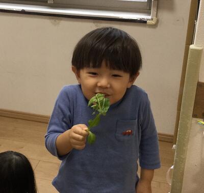 2026 1 11ソラスト高津保育園　七草③.JPG