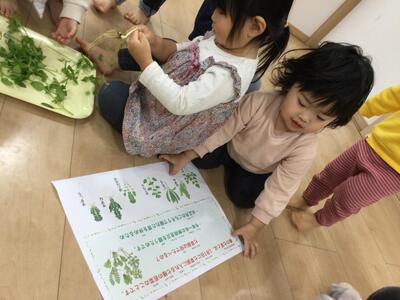 2026 1 11ソラスト高津保育園　七草⑤.JPG