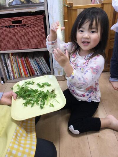 2026 1 11ソラスト高津保育園　七草⑦.JPG