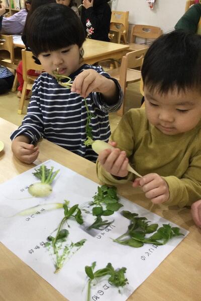 2026 1 11ソラスト高津保育園　七草⑨.JPG