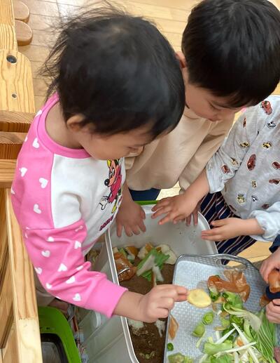 中村橋保育園'2026年3月こころ組 野菜の栽培③.jpg