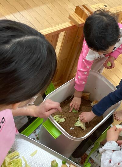 中村橋保育園'2026年3月こころ組 野菜の栽培④.jpg