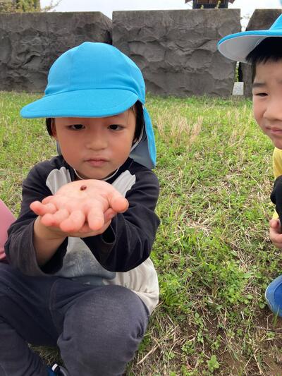 2026_1266.jpgふなぼり　てんとうむし