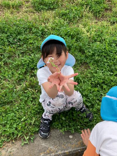 2026_1287.jpgふなぼり　ハルジオン