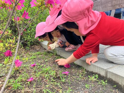 こだま4月1.jpg
