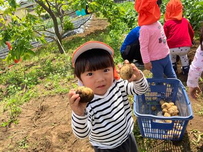 中村橋保育園'26年5月　苗植え・芋掘り4.jpg