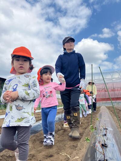 中村橋保育園'26年5月苗植え・芋掘り7.jpg