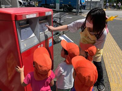 中村橋保育園'26年5月2,3歳児芋掘り②5.jpg