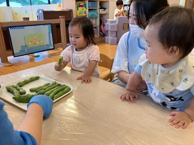 202605浅草3.jpg