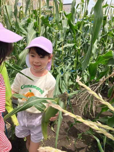 ③2026Sみたか台6月野菜たいよう.jpg