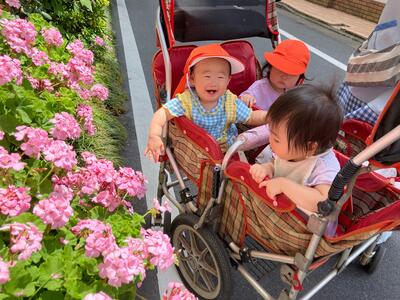 中村橋保育園'26年6月ひかり戸外活動3.jpg