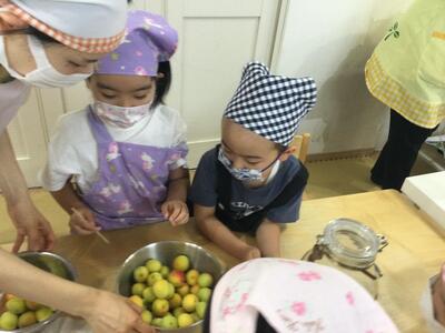 2026.6.5ソラスト高津保育園梅ジュース②.JPG
