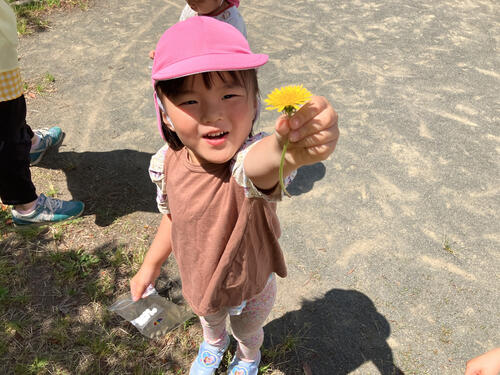 ５月こだま６.jpg
