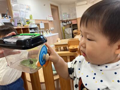 ①めばえ2026Sみたか台カタツムリ_25960.jpg