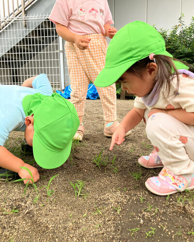 ④こころ2026_Sみたか台虫探し16382.jpg