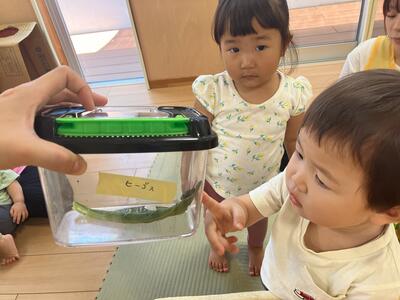④めばえ2026_Sみたか台カタツムリ21220.jpg