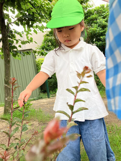 ⑥こころ2026Sみたか台_虫遊び16378.jpg