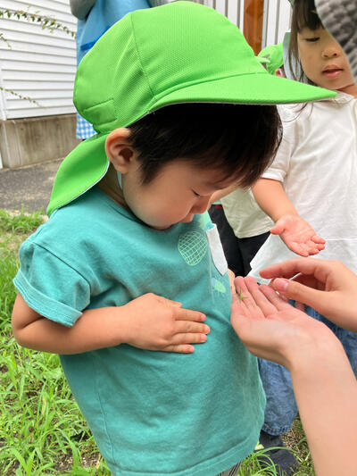 ⑧こころ2026Sみたか台虫遊び_16371.jpg