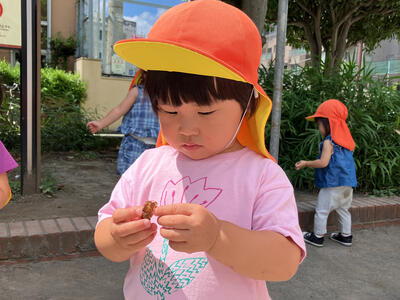 202608浅草②.jpg