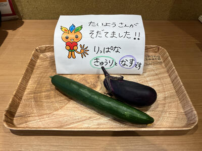 2026_野菜の収穫（たいよう）1.jpg
