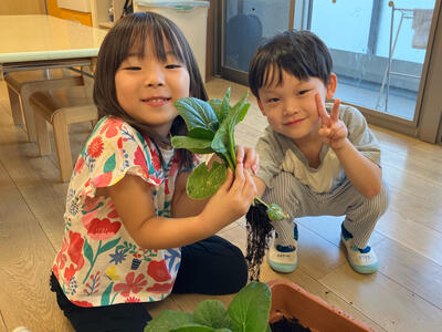 2026_野菜の収穫（ゆめ）4.jpg