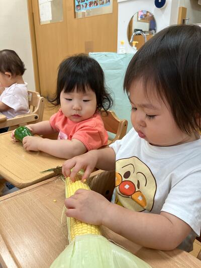 中村橋保育園'26年9月ひかり食育3.jpg