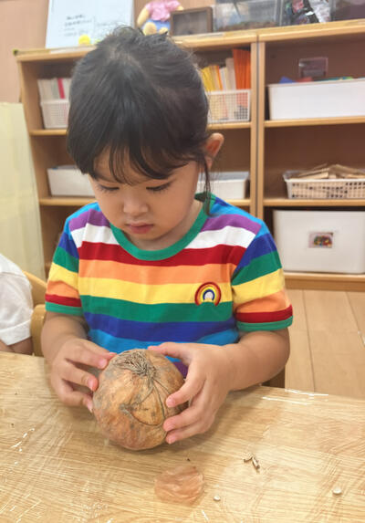 ３こころ2026Sみたか台９月野菜_32771.jpg