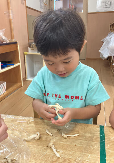 ５こころ2026Sみたか台９月野菜_32732.jpg