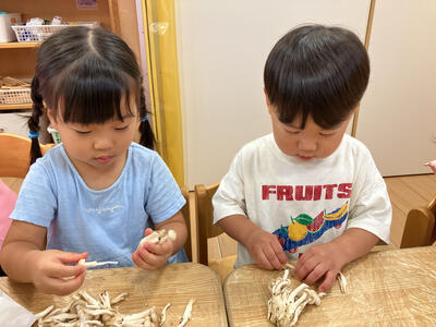 ６こころ2026Sみたか台９月野菜_32729.jpg