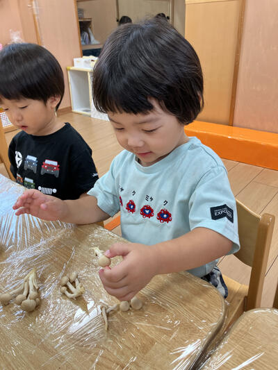 ７こころ2026Sみたか台９月野菜_32716.jpg
