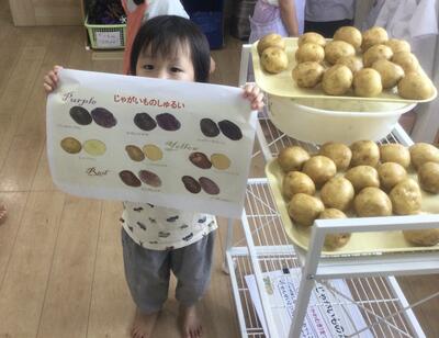 2026.8.20ソラスト高津保育園　じゃがいも⑤.JPG