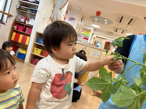めばえ９月３.jpg