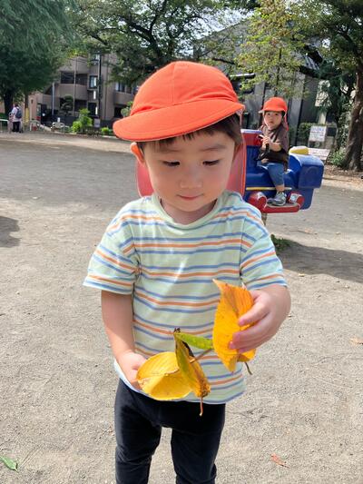 中村橋保育園'26年10月戸外活動3.jpg